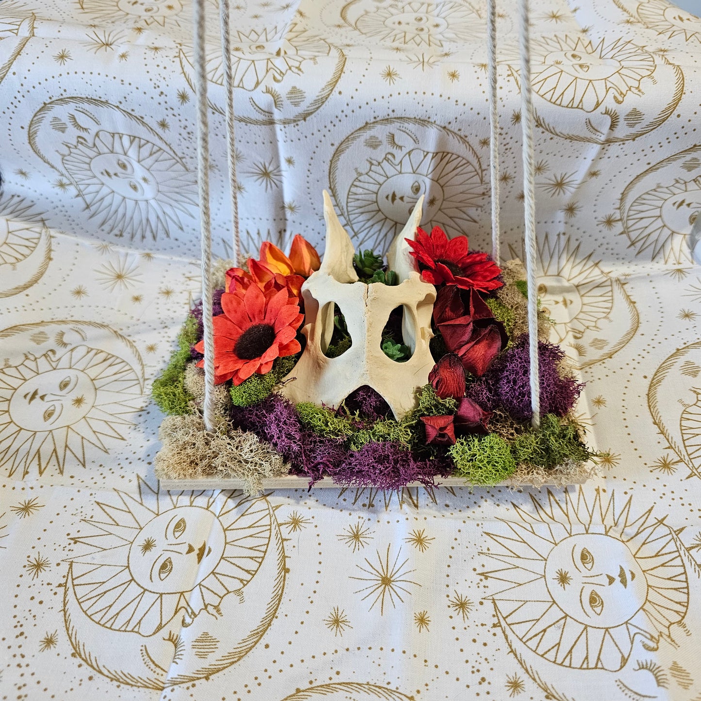 Coyote Pelvis Bone Moss Hanging Art