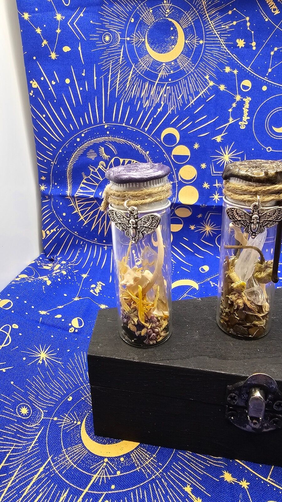 Animal Bone Preserved Spell Jars Charms
