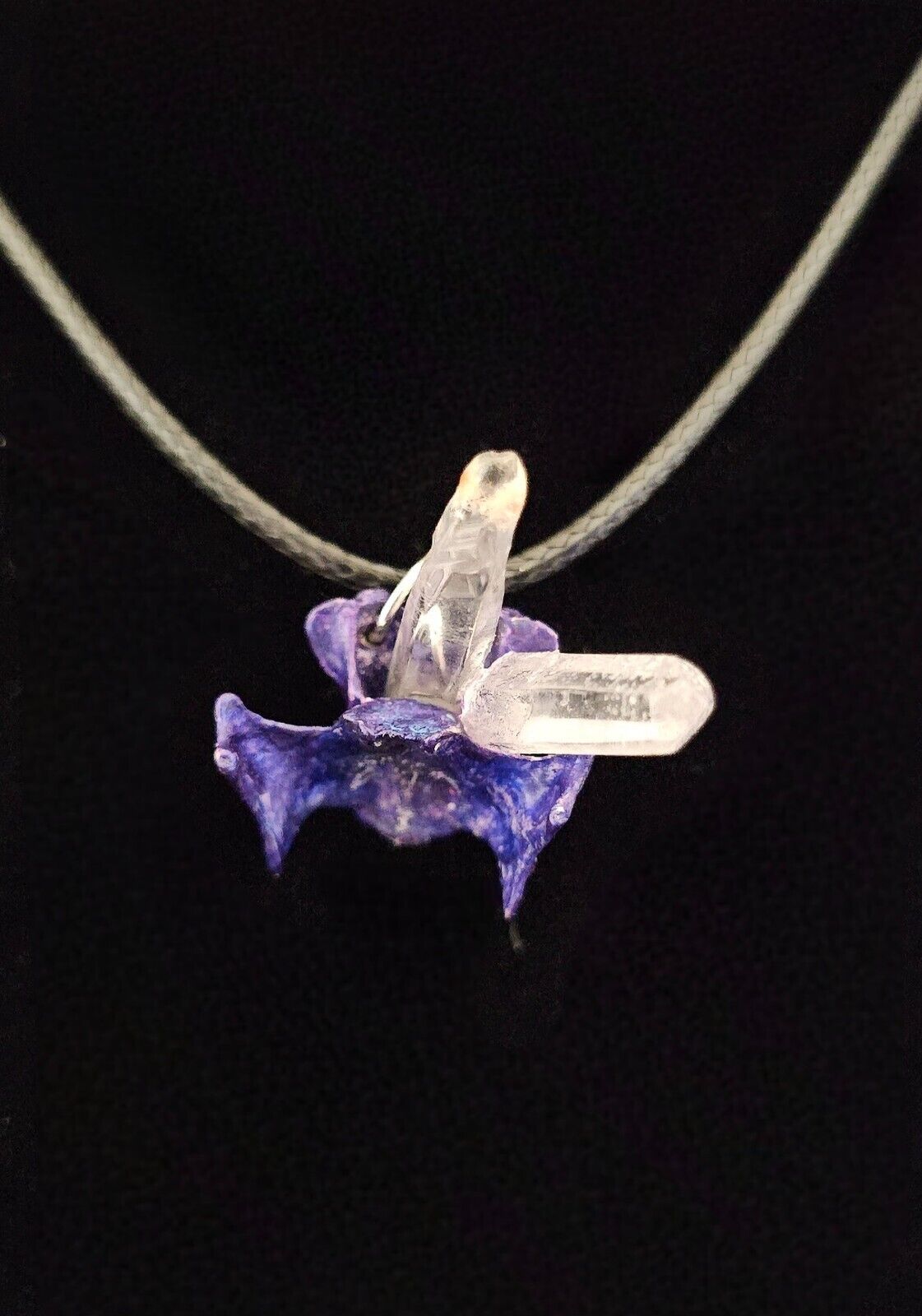 Macabre Animal Coyote Bone Necklaces with Gemstones