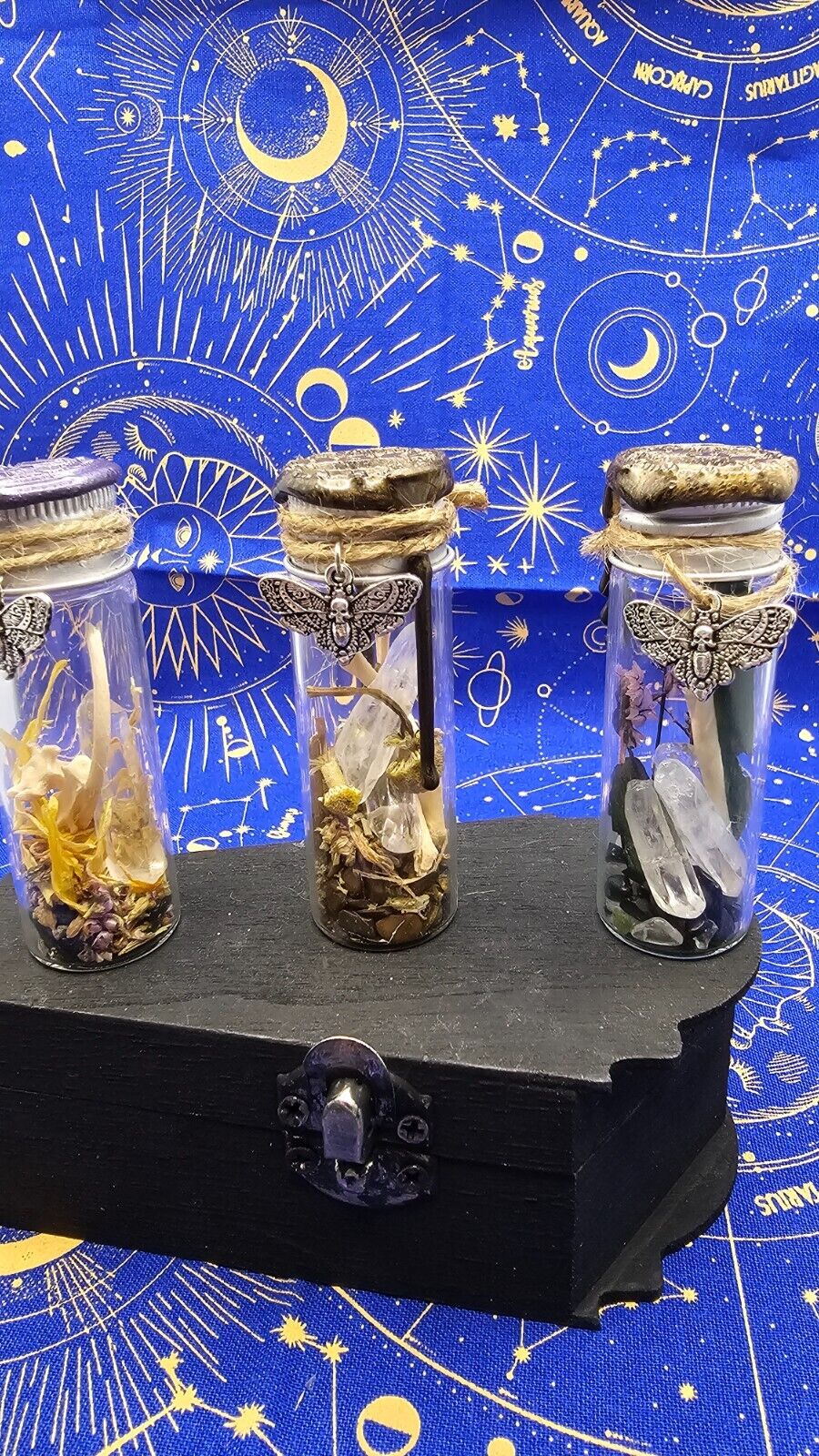 Animal Bone Preserved Terrariums Spell Jars Charms